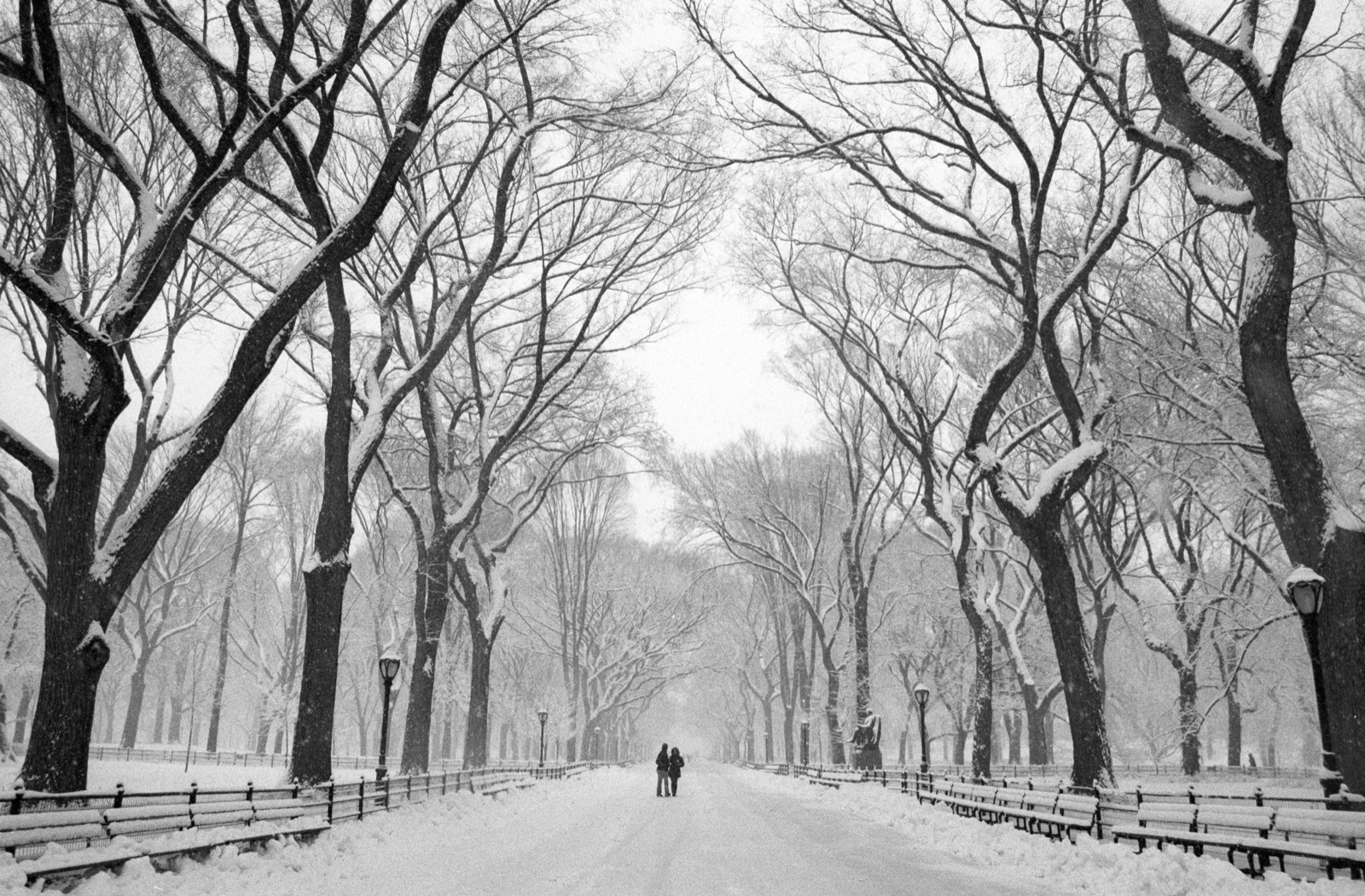 Images — New York: The Mall in Snow